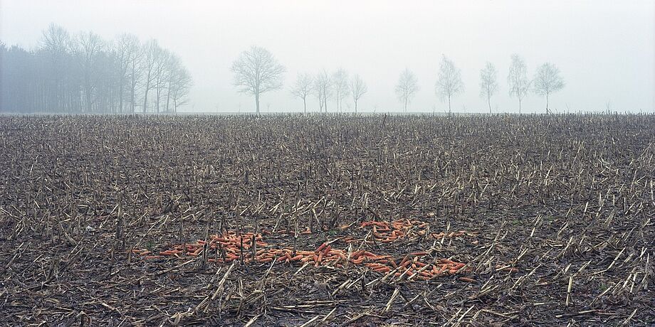 Jürgen Matschie: Abgeerntetes Maisfeld im Nebel, Gebelzig, 2003, aus der Serie Agrarlandschaften 